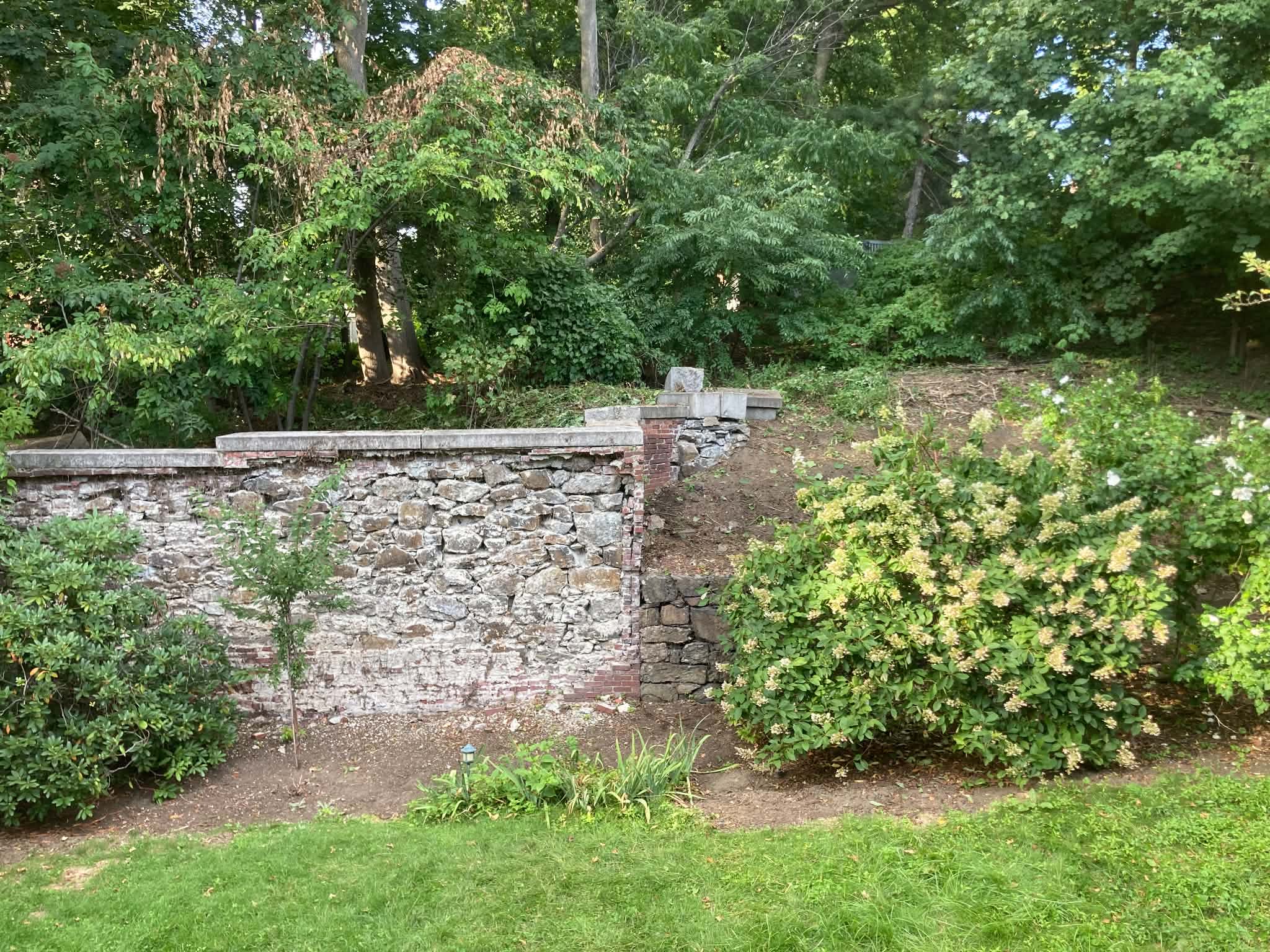 backyard garden