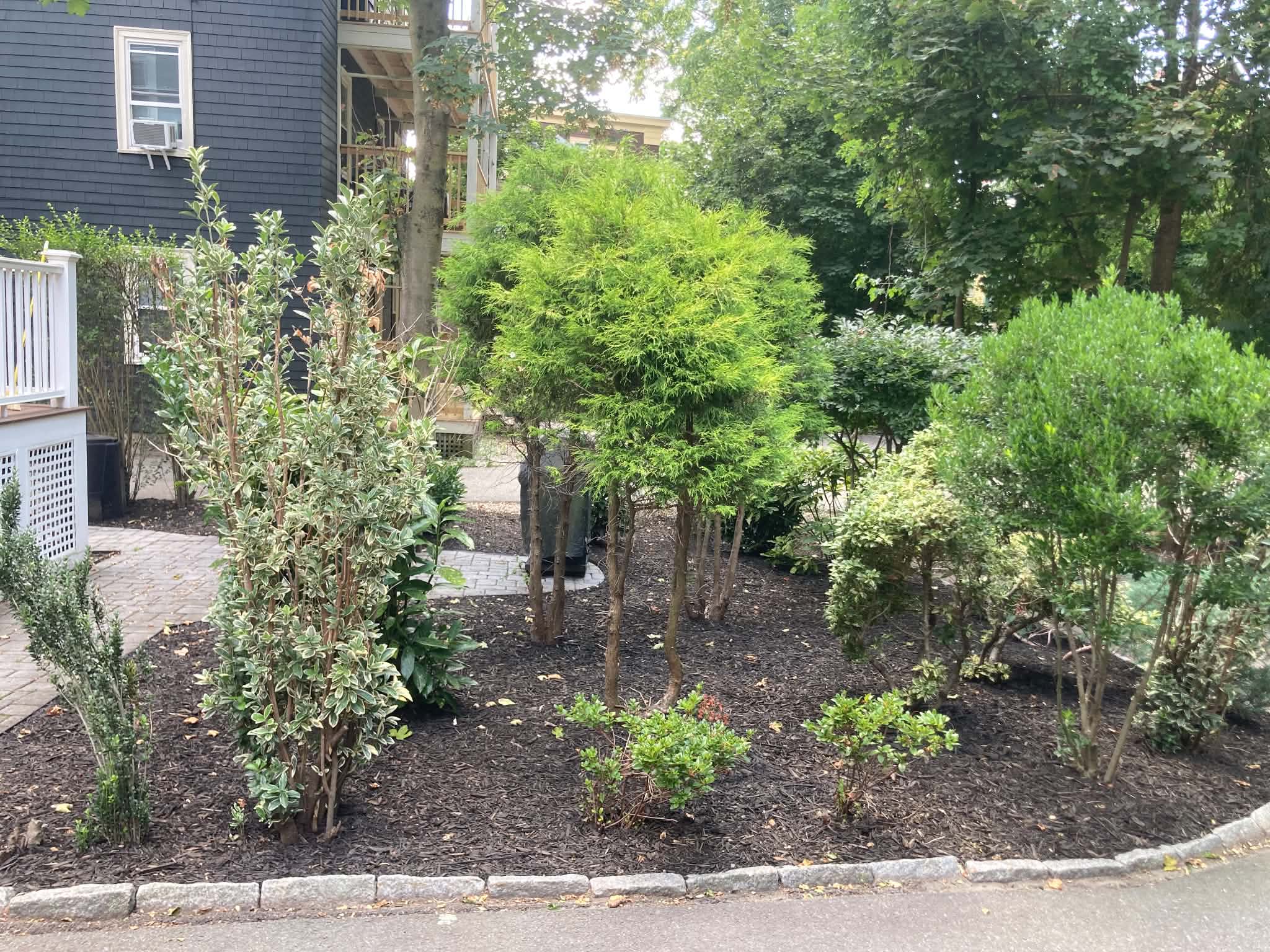 backyard patio