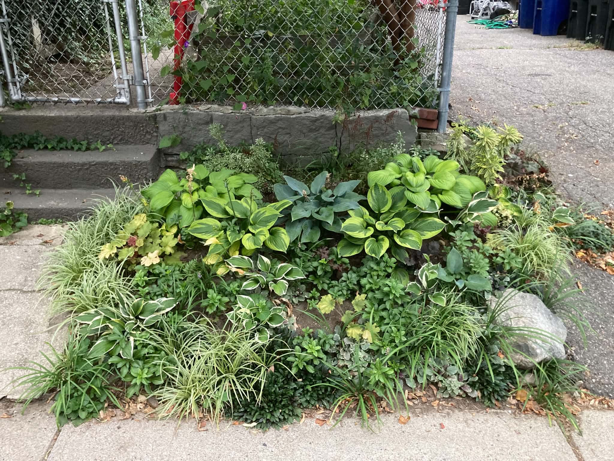 small flower bed